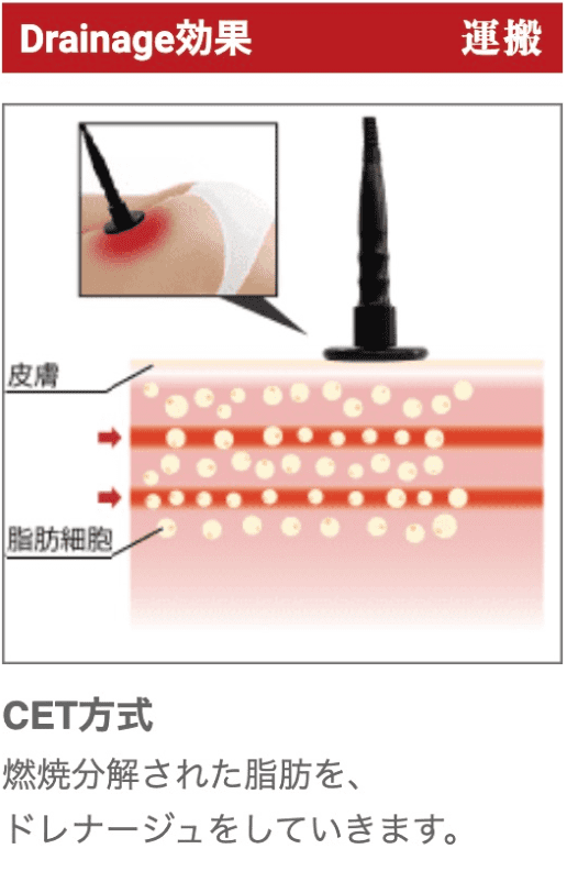 Drainage効果 分解 運搬 CET方式 燃焼分解された脂肪を、ドレナージュしていきます。